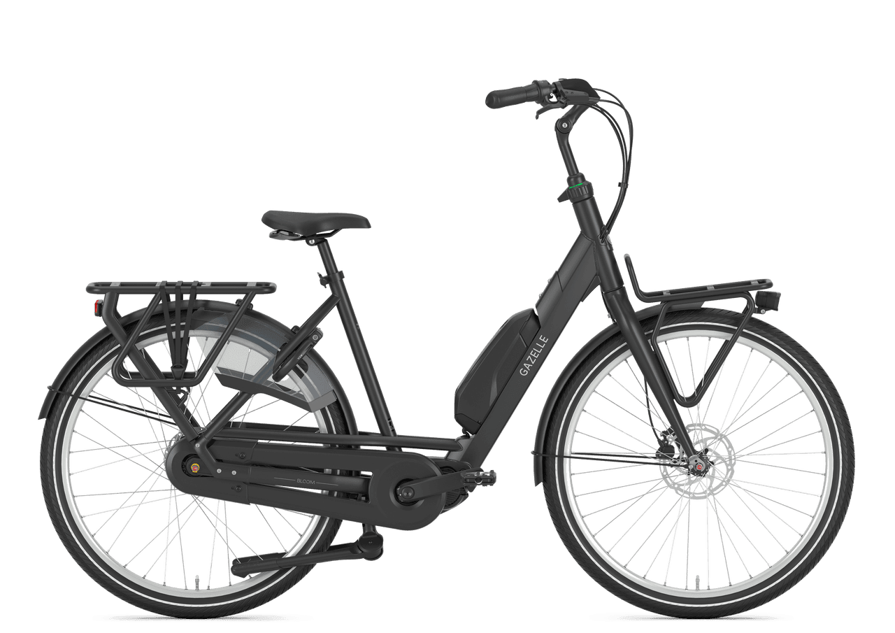 Gazelle Bloom C310